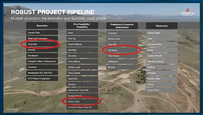 Triple Flag Project Pipeline