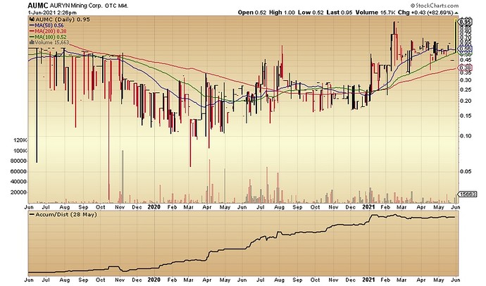 AUMC 6-1-21 Daily